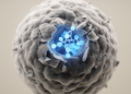 Cell wall-binding domain of staphylococcal enzyme shows unexpected antimicrobial and antifungal activity