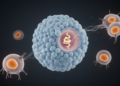 CREBBP mutation drives lymphoma growth and T-cell exhaustion via NOTCH pathway