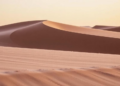 Salt-Loving Bacteria From Moroccan Dunes Could Supercharge Coastal Farming