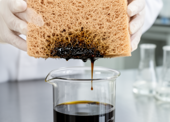 Coconut Fiber Aerogel Soaks Up Oil in New Spill Cleanup Study