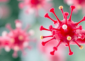 Natural Alkaloids Show Promise as Disruptors of Bacterial Quorum Sensing