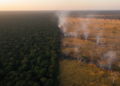 Brazil's Fires Split Along Cerrado–Amazon Divide, Four Decades of Data Show