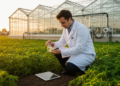 Nanoparticles Move From Lab to Field as Agriculture Seeks Precision Tools
