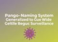 Pango Lineage Naming System Generalized to Guide Viral Genomic Surveillance