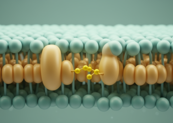 One Subunit Does the Heavy Lifting in a Bacterial Tetracycline Pump
