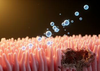 Bovine Milk Exosomes Speed Gut Recovery in Rats After Maternal Protein Malnutrition