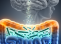 Gut Microbes, Immune Signals and the Inflammatory Road to Parkinson's Disease