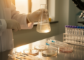 River Yamuna Bacterium Removes Most Amoxicillin in Lab Test