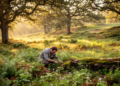 Habitat and Landscape, Not Stand Age, Shape Plant Life in Managed Oak Forests