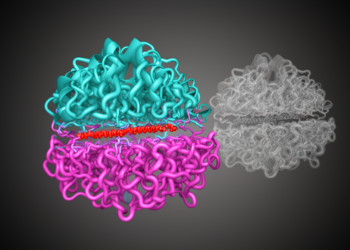 AlphaFold 3 Structures Can Guide T-Cell Receptor Engineering, With Caveats