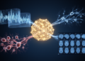 One Transformer Reads Three Brain-Signal Types at Once, Hitting 71% Accuracy