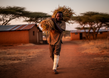 Snakebite in Kenya hits poorest rural communities hardest, review finds