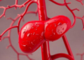 Early azathioprine in autoimmune hepatitis shows no clear extrahepatic cancer risk in Korean cohort