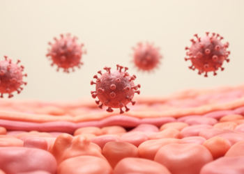 Viral Load Levels Track Cervical Lesion Severity in HPV-Positive Indian Women