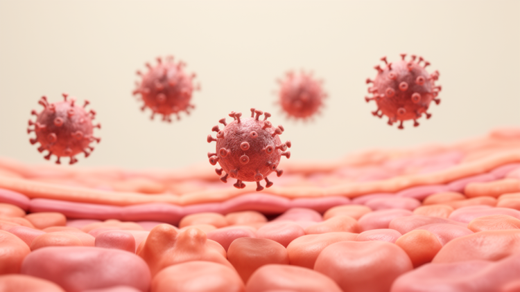 Viral Load Levels Track Cervical Lesion Severity in HPV-Positive Indian Women