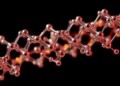 Computational design yields magnetic polymers that rapidly capture aging markers in Baijiu