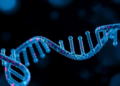 AI Learns the Hidden DNA Code That Marks Enhancers Across Species