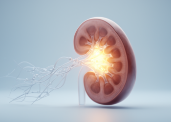 Novel UMOD Variant Linked to Rare Inherited Kidney Disease in Young Man