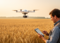 From Ozone Tipping Points to Drone Phenotyping: Twelve Studies Map Crop Adaptation Under Climate Change