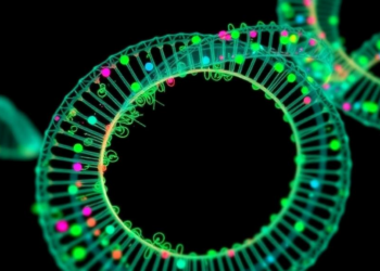 Ovarian circular DNA shows reduced abundance in PCOS rat model