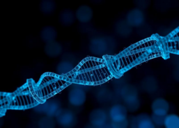 HCMV microRNAs Show Locus-Specific Patterns in Transplant Recipients