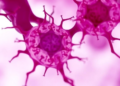 tRF Fragment Drives AML Cell Growth by Suppressing AGGF1, Study Finds