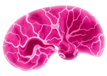 Cord Blood Markers and NBNA Scores Predict Early Neurodevelopment in GDM Infants