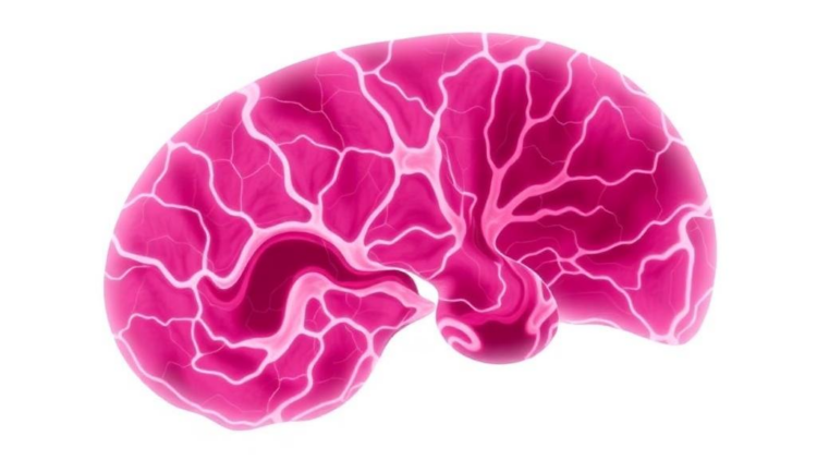Cord Blood Markers and NBNA Scores Predict Early Neurodevelopment in GDM Infants