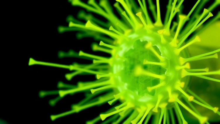 Rice Pathogen's Dual-Purpose Enzyme Keeps Its Membrane Intact and Its Virulence Sharp