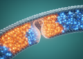 Super-Resolution Imaging Reveals How Cells Sort Lipids During Endocytosis