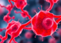Sepsis therapies aim to protect the endothelial glycocalyx, review finds