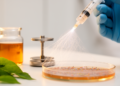 Plant Extract Meets Electrospinning: Heat-Tuned Nanofibers Emerge as Antibacterial Wound Dressing Candidates