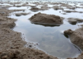 Chemical Fingerprints in Antarctic Mud Reveal 200 Years of Growing Sea Ice in the Ross Sea