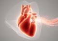 AI Takes On the Flawed Math of Measuring Leaky Heart Valves