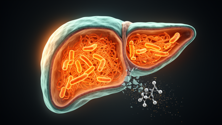 Lost tumor brake found to rewire liver cancer cell power plants