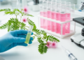 Mimosa pudica leaf extract shows protective effects in rat endometrial hyperplasia and cancer cell models