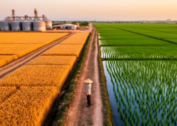 China's Crop Carbon Footprints Reveal a Stark North-South Emissions Divide