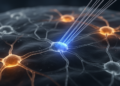 Optogenetics offers a precise window into neural circuits behind neurodegenerative disease