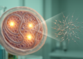 Two Gene Biomarkers Linked to Sperm Production Failure in Infertility Study