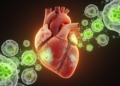 Plant compounds may rewire immune metabolism in heart disease, evidence still thin