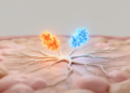 Two Cytokines May Team Up to Drive Cancer Pain, Review Argues