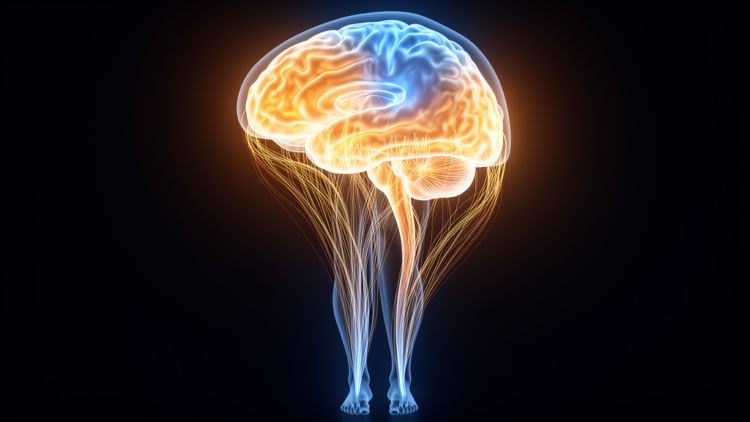 Brain Signal Patterns Shift as Freezing of Gait Strikes Parkinson's Patients