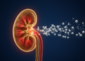 Low serum magnesium linked to early sepsis-related kidney injury risk