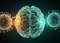 Two-Pronged Immunotherapy Strategy Cracks Glioblastoma's Defenses in Preclinical Study