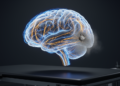 Brain Wiring Maps Could Steer Personalized Cognitive Rehab After Stroke