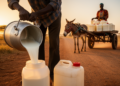 Water Dilution of Raw Milk Rises Along Ethiopian Supply Chain, Study Finds