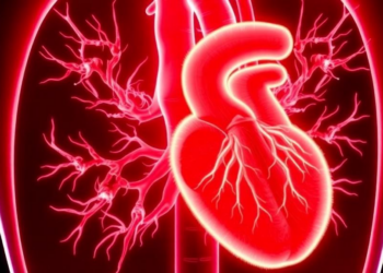 New Feature-Selection Algorithm Predicts Aortic Calcification in Dialysis Patients