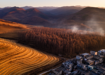 Wildfire Regimes Split Between Cropland and Urban Interfaces on Yunnan Plateau