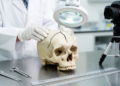 Reading Broken Bone: How Forensic Experts Reconstruct Skull Fractures