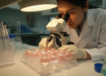New Standard Sets Unified Rules for Growing Breast Cancer Organoids